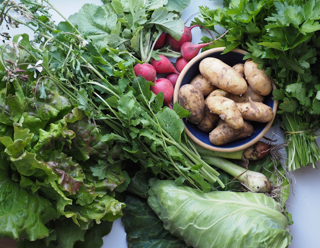 Alimentos probióticos de primavera